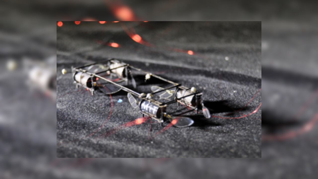 El Insecto Robot: Innovador Dispositivo para Polinizar, Rescatar y Explorar Marte