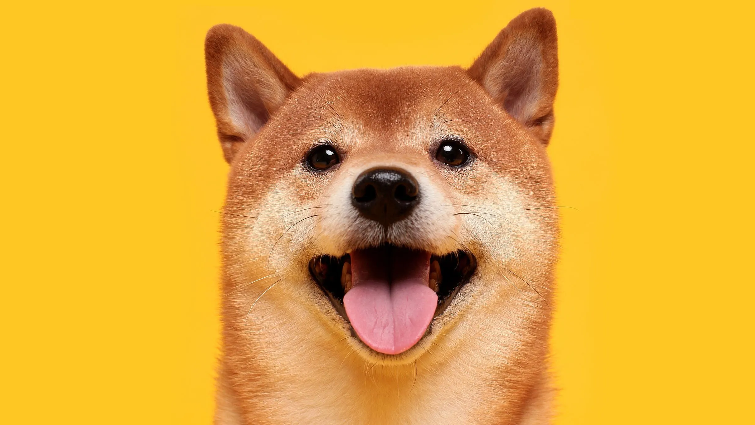 Dogecoin tendría su primer ETF disponible desde la próxima semana