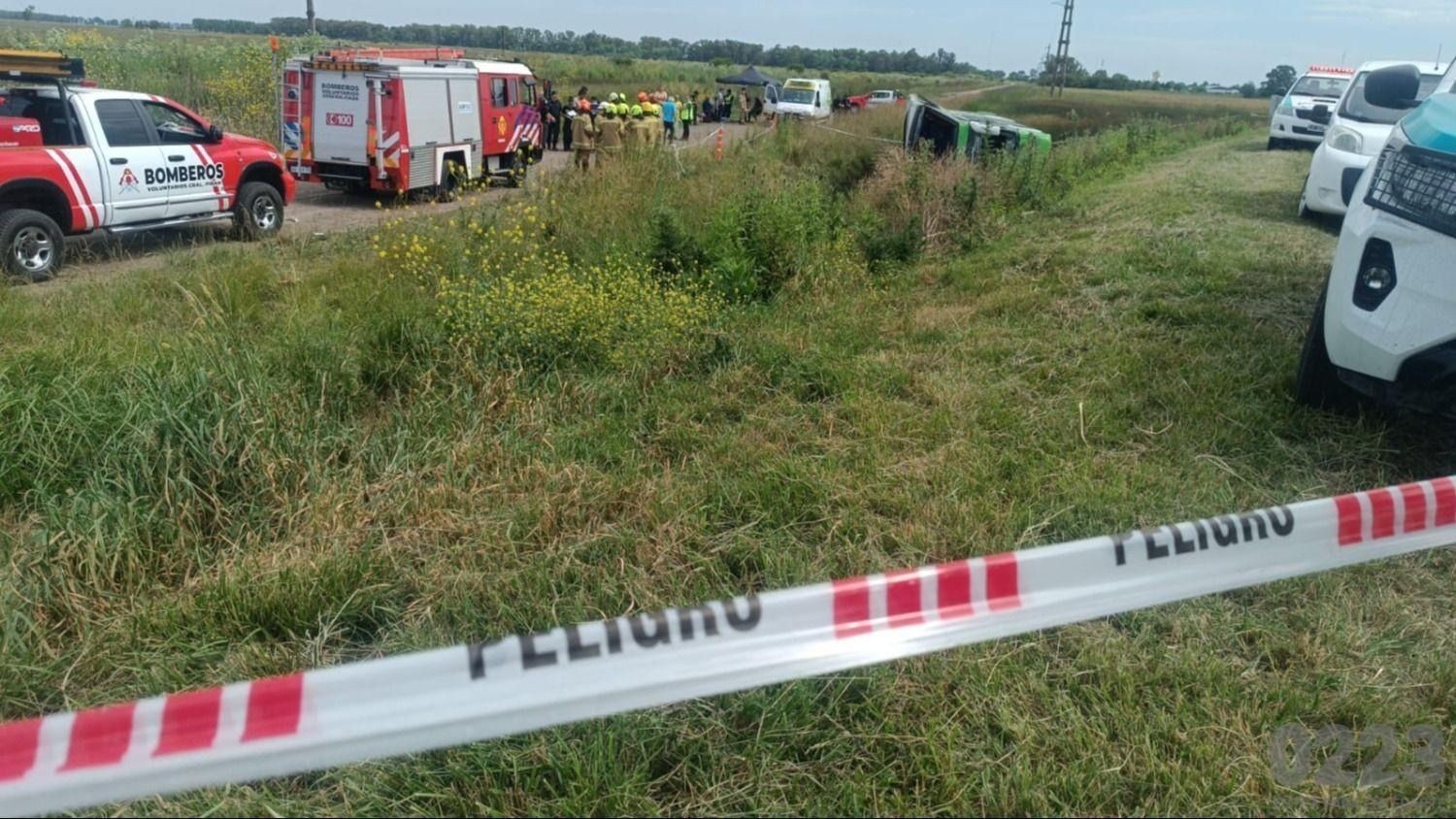 image preview(placeholder)