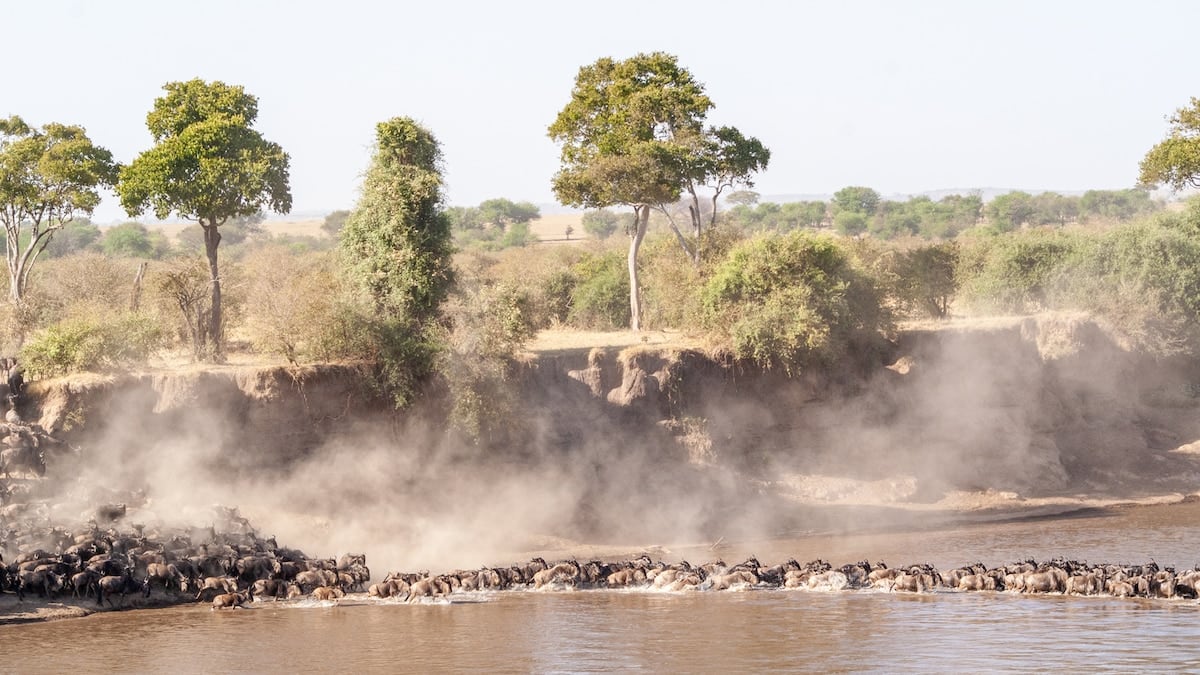 Entre baobabs, cráteres y comunidades: la otra Tanzania se recorre de a tres parques