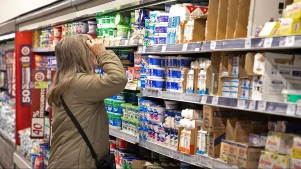 Más de ocho de cada diez hogares argentinos debieron financiar la compra de alimentos en septiembre
