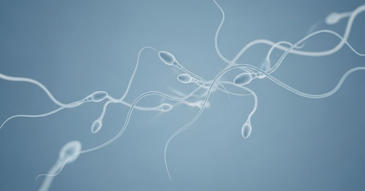 El Reino Unido protagoniza el primer autotrasplante de tejido testicular en un paciente que perdió fertilidad por la quimioterapia