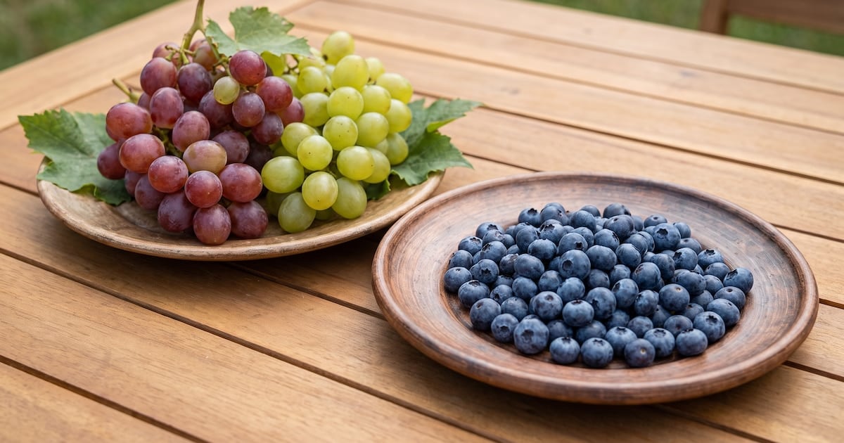 Arándanos o uvas: la pulseada por el azúcar en sangre y por qué la fibra es la llave