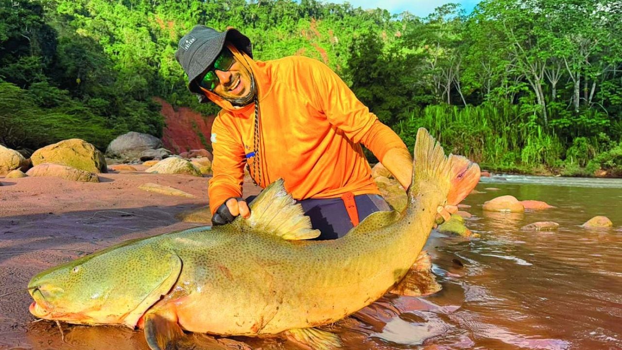 Pesca en aguas amazónicas: un operativo de cinco días entre quince especies y peces de hasta veinticinco kilos