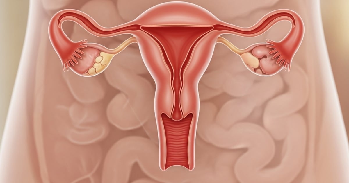 El ovario no se jubila: proteínas cuentan lo que pasa adentro después de los 50
