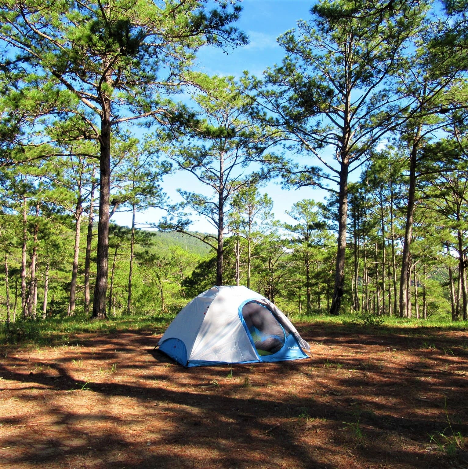 Huttopia brings seasonal camping to Mar Azul from December