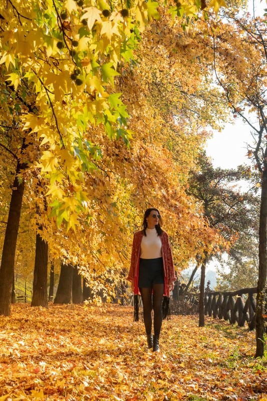 El otoño redefine la forma de recorrer doce capitales europeas