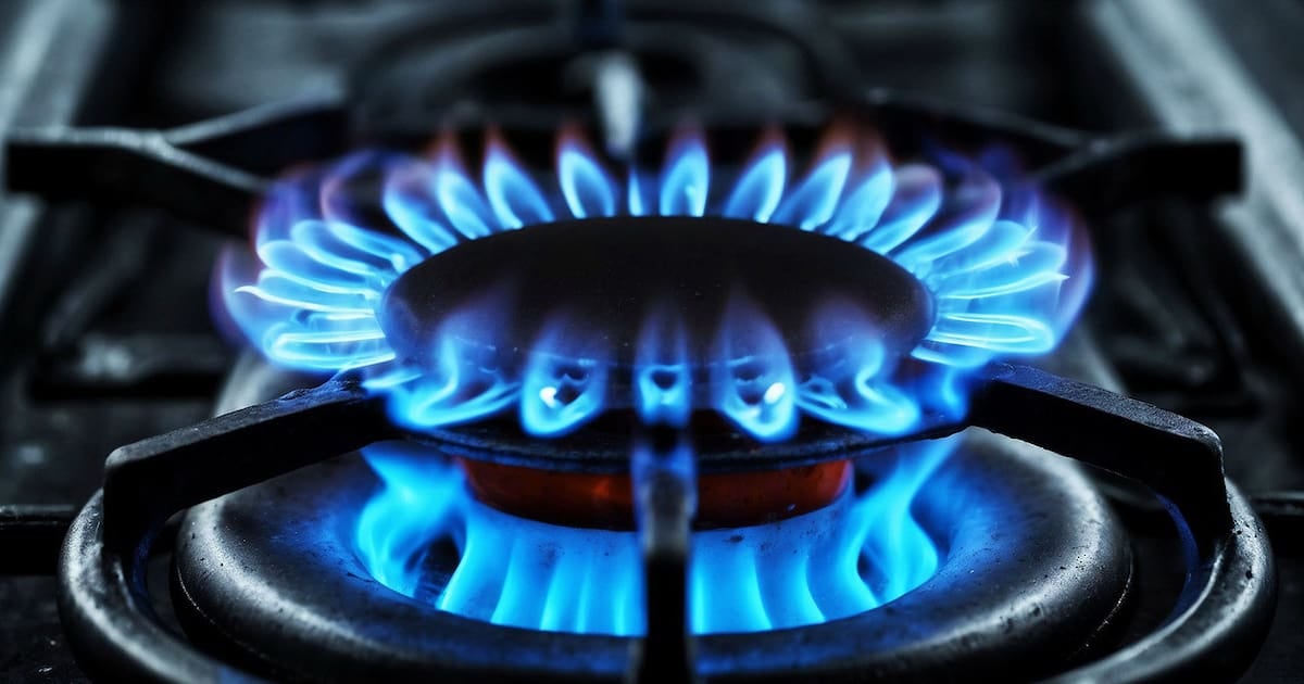 Zona Fría: quiénes mantienen la rebaja del gas y cómo acceder al beneficio adicional