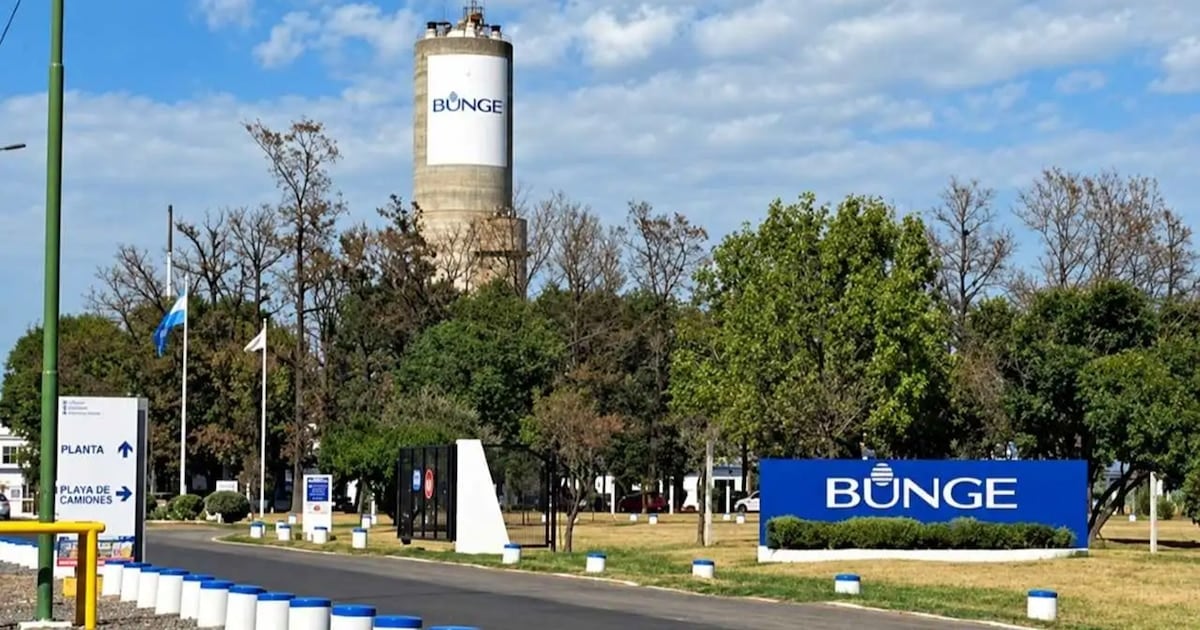Campana pierde una línea de insumos para fertilizantes y quedan afectados 110 trabajadores